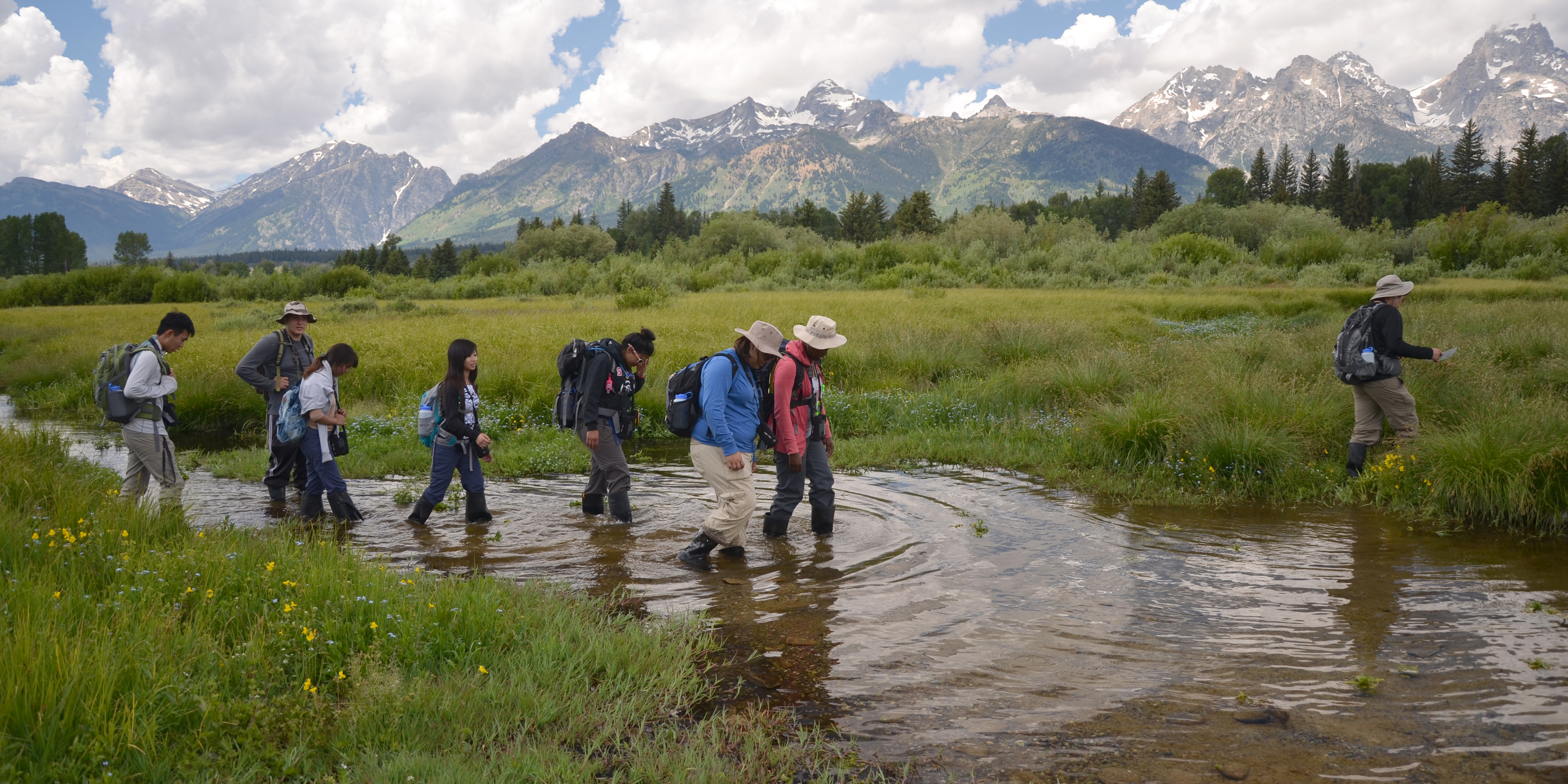 Earthwatch volunteers work and learn alongside leading scientists in stunning natural settings