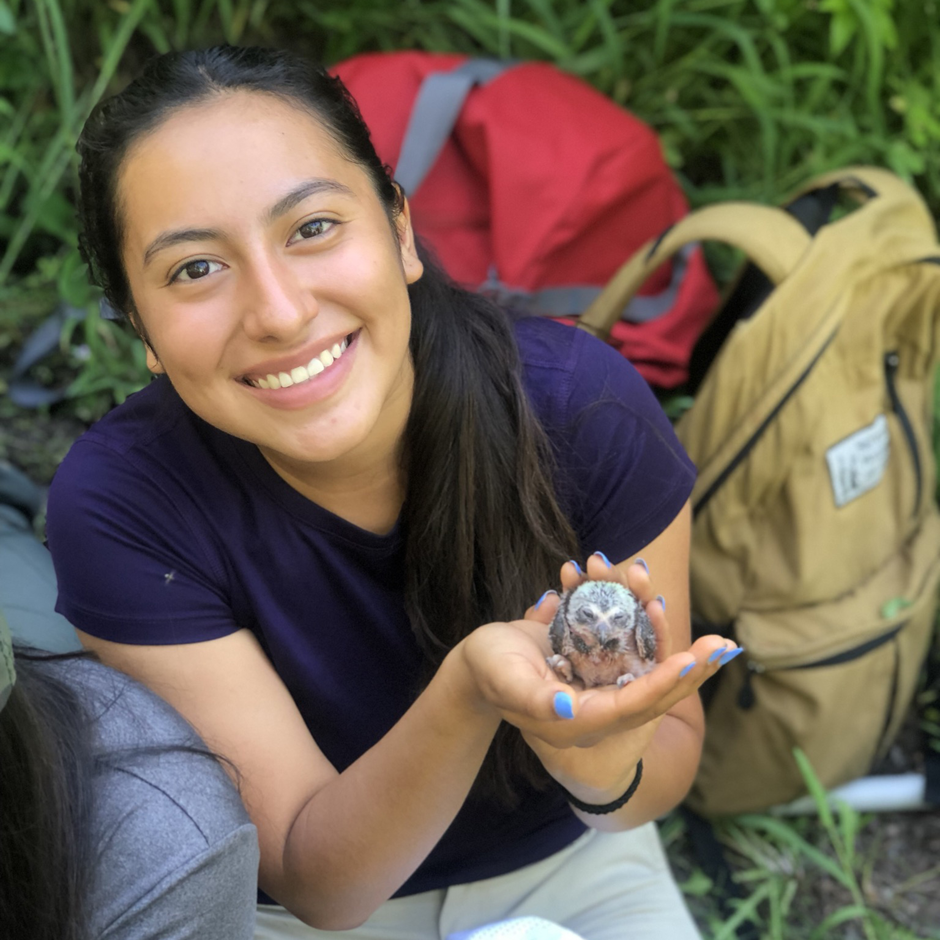 These teens have banded and weighed owl nestlings and taken tree and habitat measurements to identify the impact of climate change on forest owl breeding in Utah.