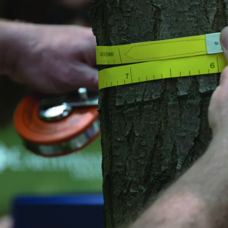 One of the primary challenges we face is collecting data from large numbers of trees.