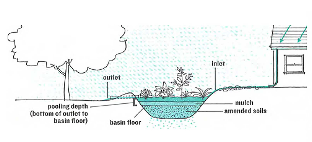 A rain garden is a landscape feature that’s shaped as a depression in the ground, usually located on a gentle slope, and filled with deep-rooted native plants.