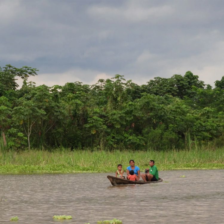 Earthwatch Expedition: Amazon Riverboat Exploration