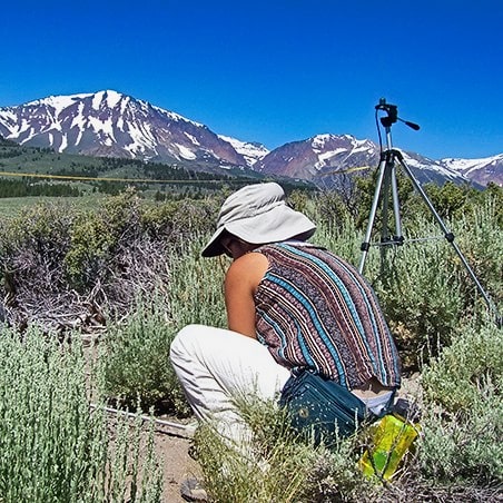 a woman squatting down to perform a research task in the rocky mountains