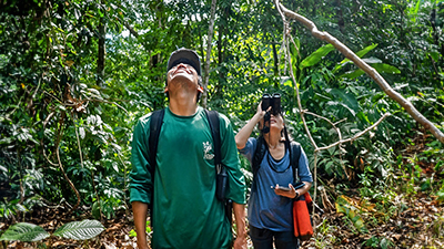 Two people with binoculars looking up into the top of forest trees looking for wildlife.