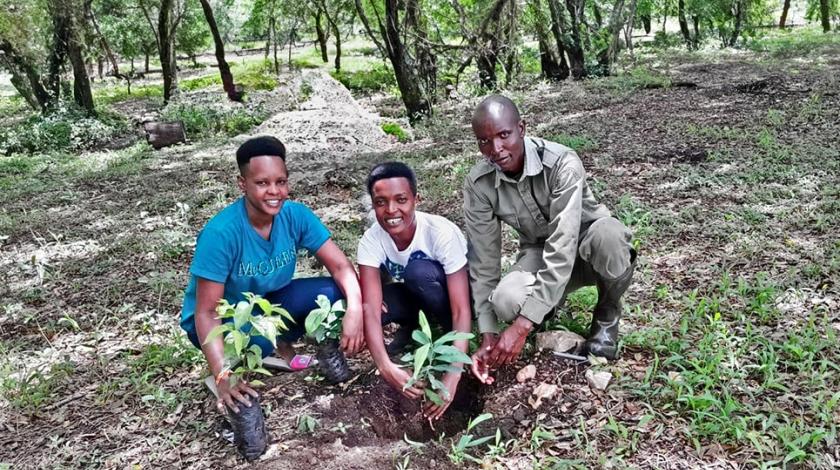 Three people smiling into the camera holding prepared saplings before planting.