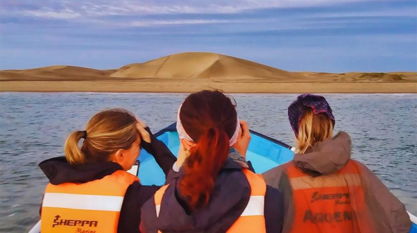 Three teen girls travel by motorboat to observe bottlenose dolphins and humpback whales.