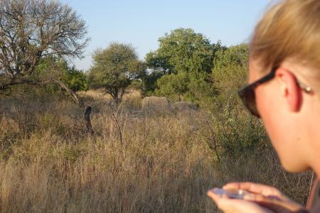 A volunteer observes two rhinos in the distance (C) Ashley Junger
