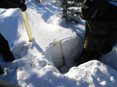 Volunteers measuring snow pack (credit Billy)