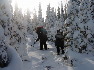 Volunteers walking through the frozen tundra