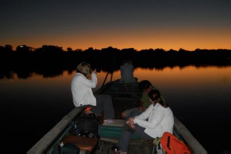 Earthwatch volunteers conduct wildlife surveys along the Samiria River and in the rainforest.