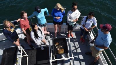 Girls in Science fellows on a boat, looking for whales (Courtesy WHOI)