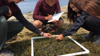 Teen volunteers on an Earthwatch Expedition