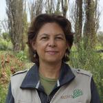 Elsa Valiente Riveros is the director of Restauración Ecológica y Desarrollo A.C. (REDES). REDES