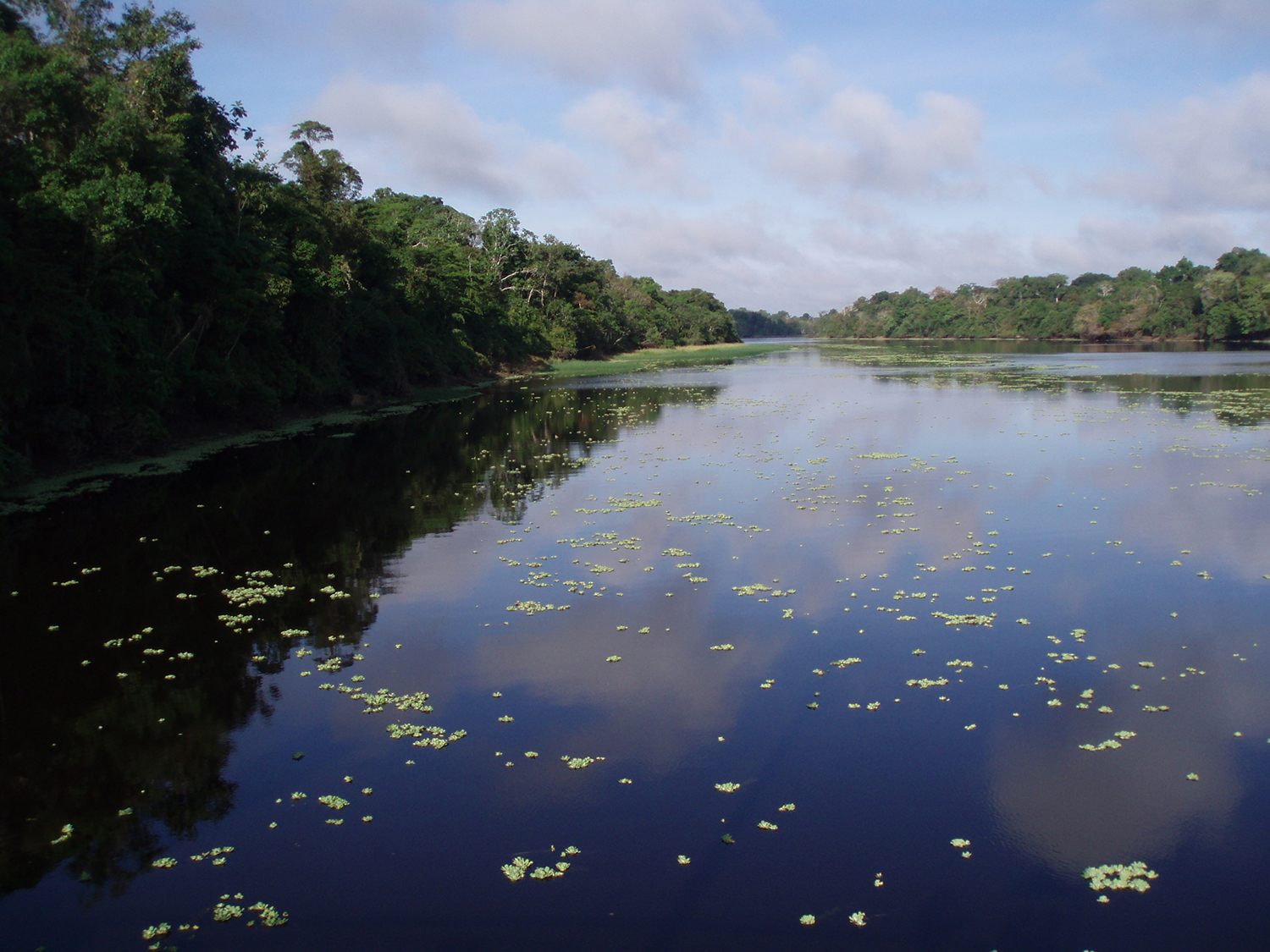 Amazon Riverboat Exploration Briefing | Earthwatch