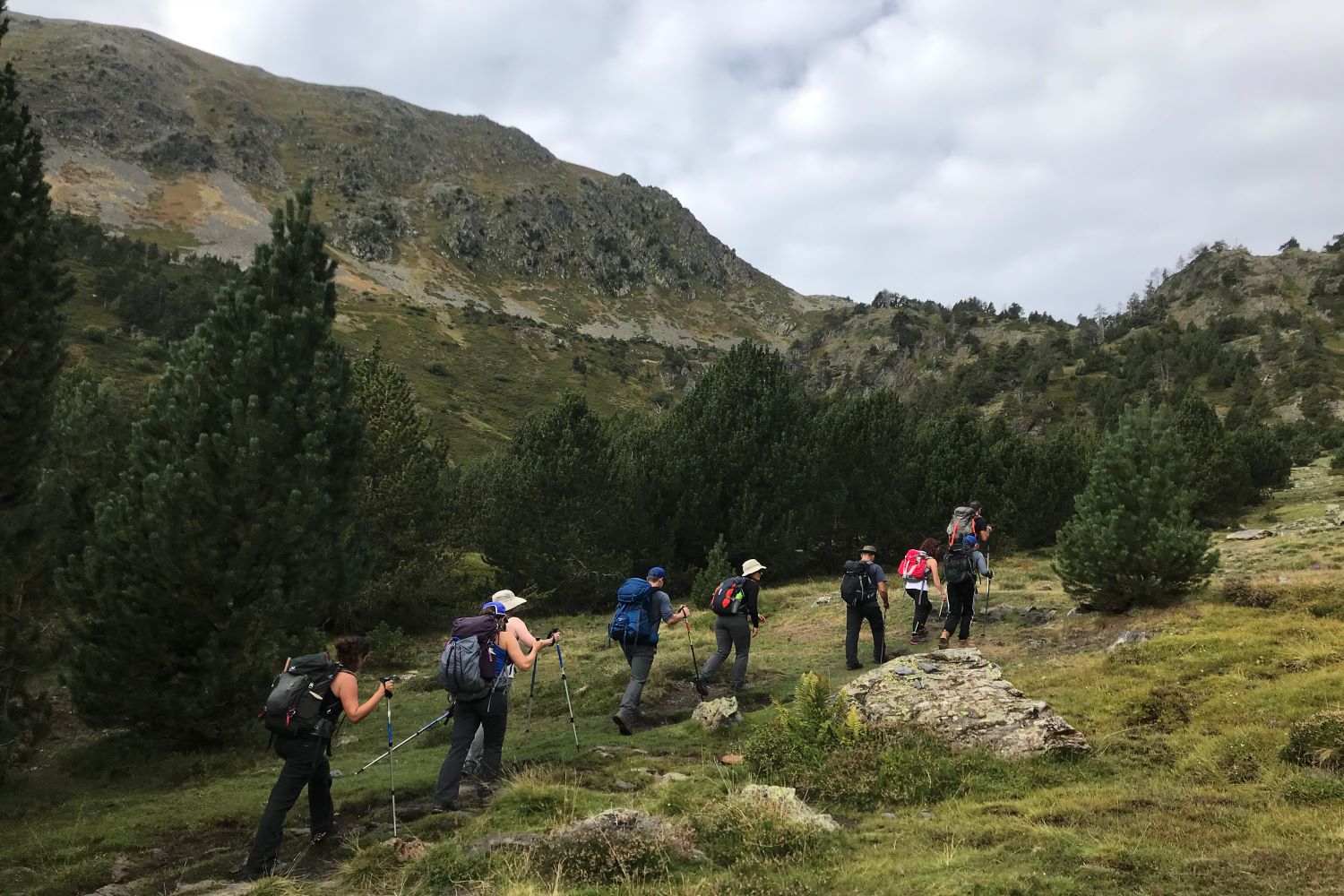 Alcoa Employees hiking through the mountains