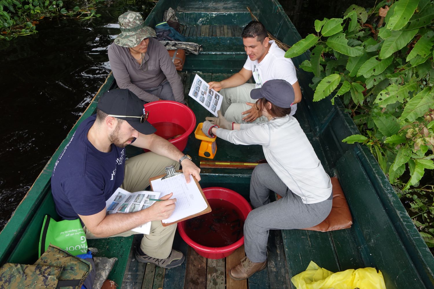 EY-Earthwatch Ambassadors work with researchers in Peru.