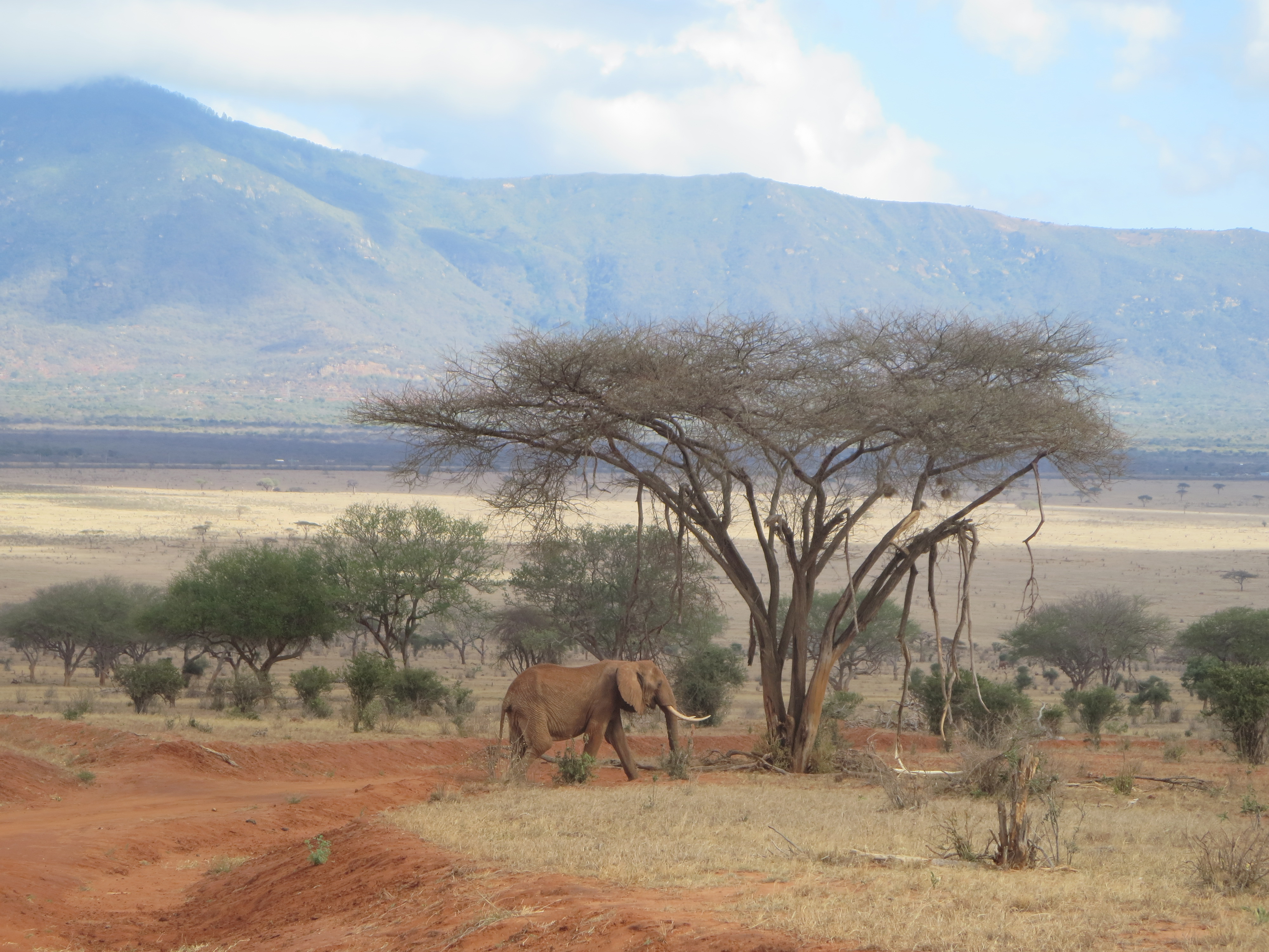 Breathtaking African landscape (C) Rachael Biggs