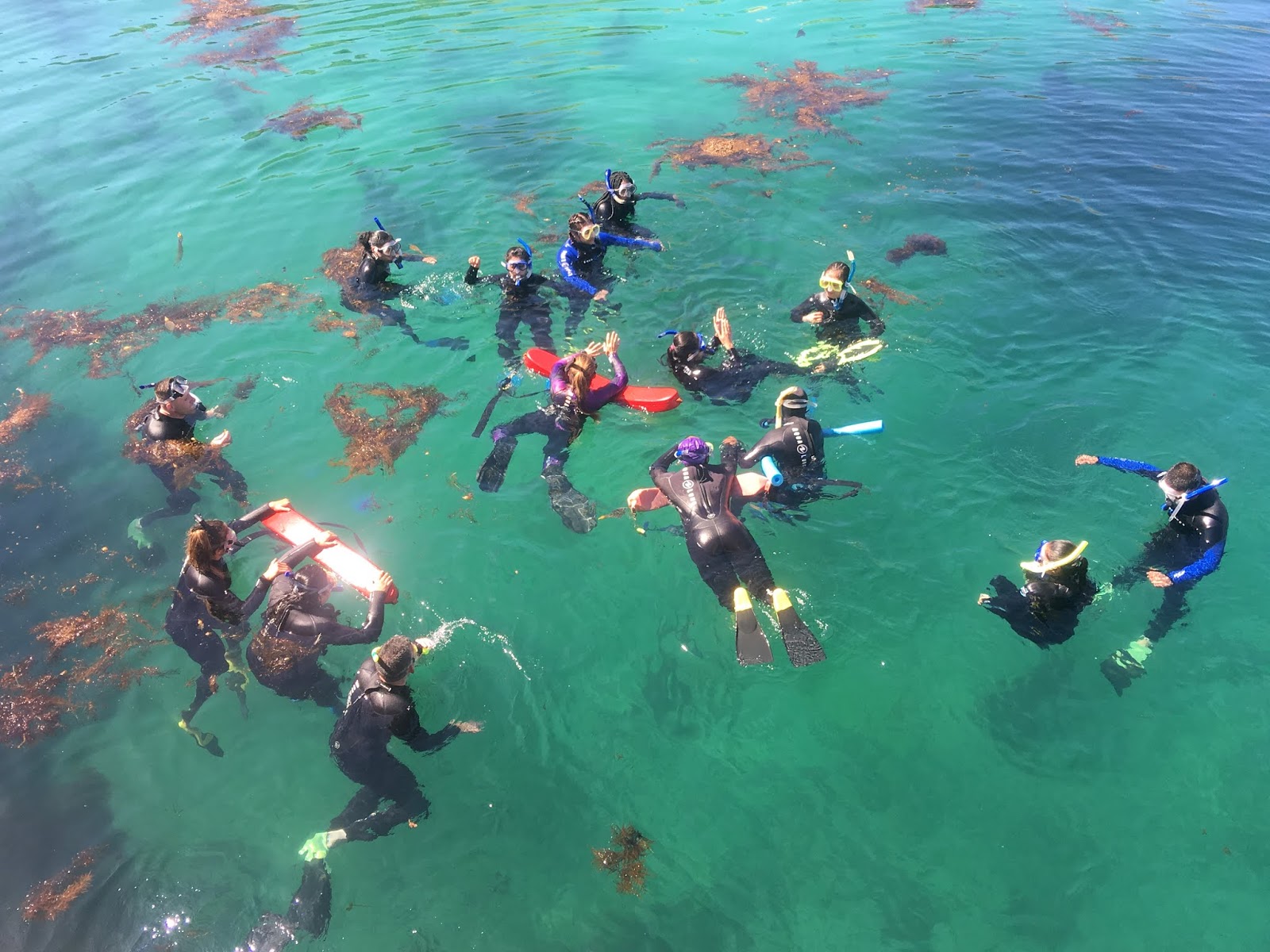 Students snorkeling to collect data.