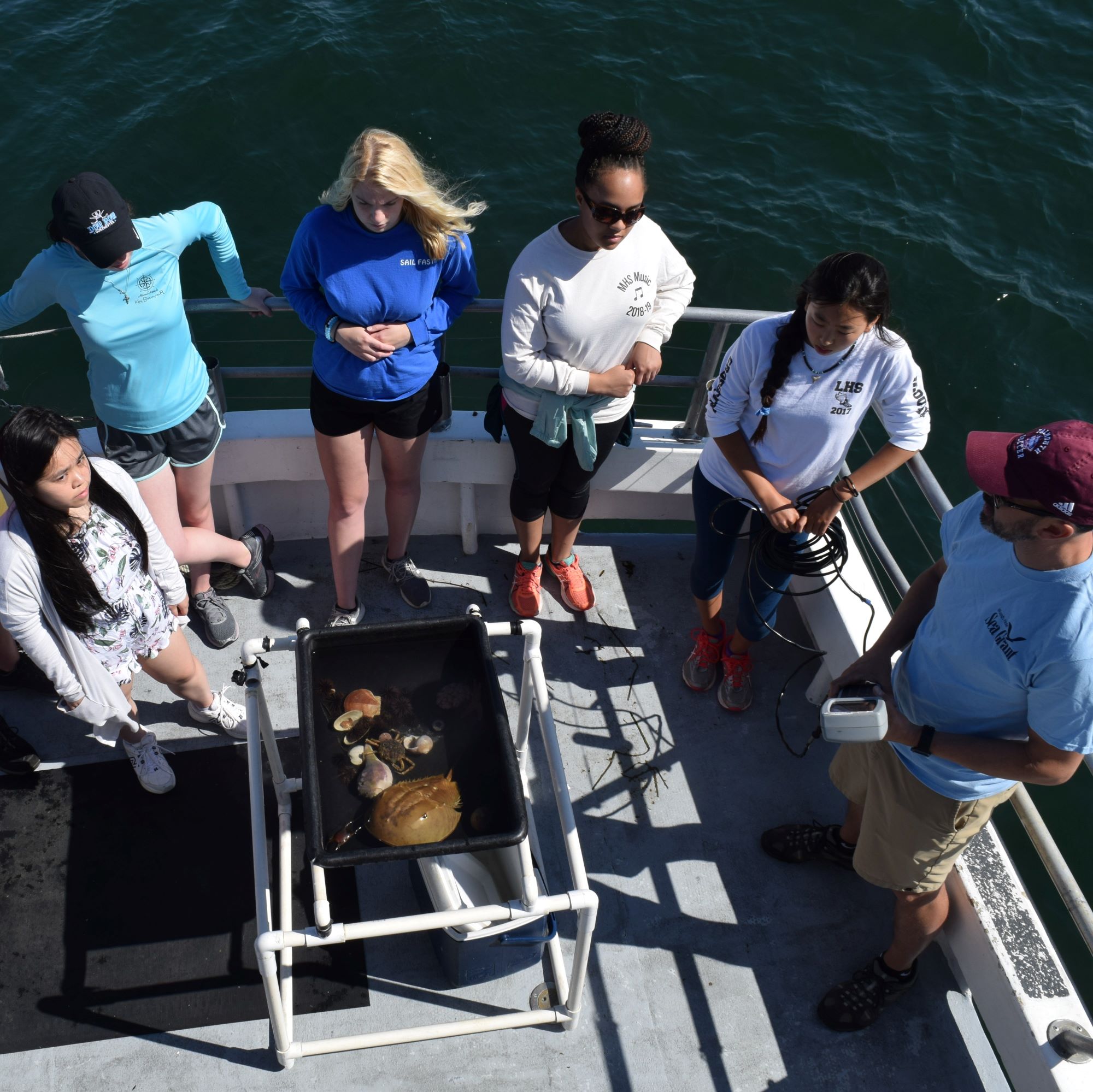 Girls in Science Fellows on a whale watch