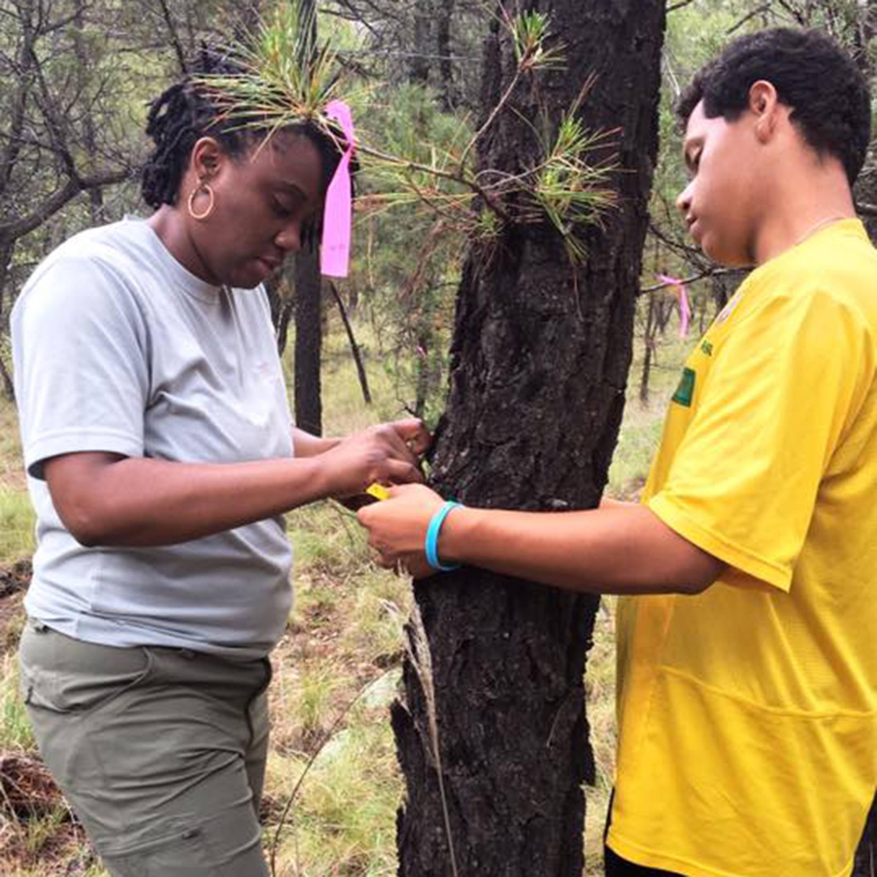 Since 1975, Earthwatch has sent almost 6,000 educators into the field through our Teach Earth fellowship, where they conduct actual field research alongside university scientists and brainstorm hands-on lesson plans with their team of fellow teachers. 