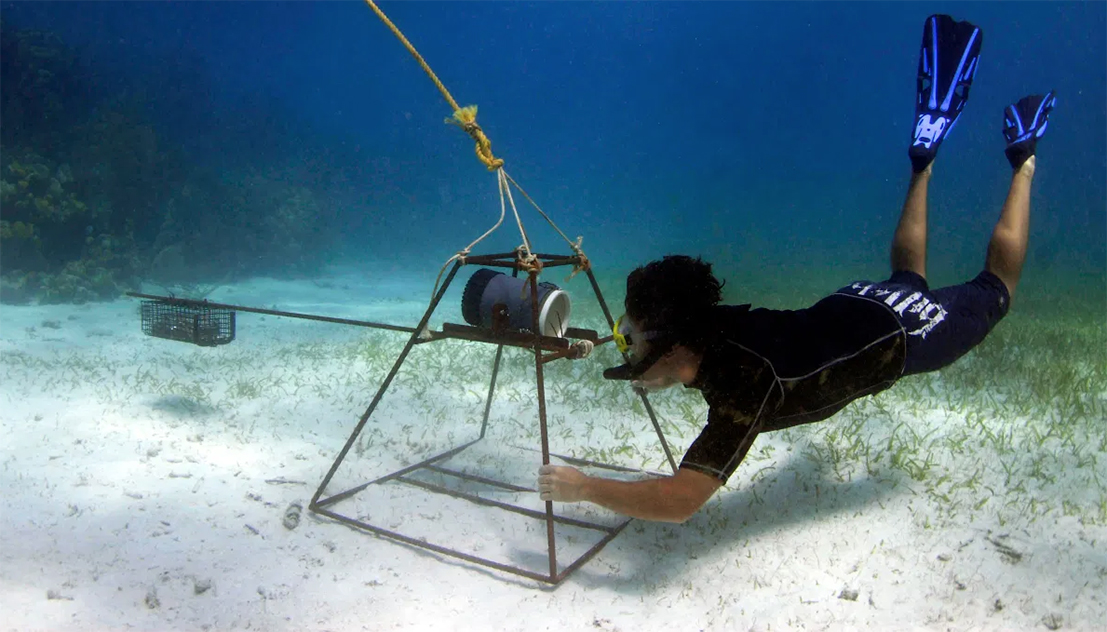 A researcher sets up a baited remote underwater video (BRUV) camera.