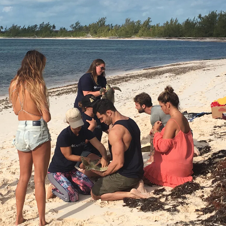 Annabelle works with the team to collect the sea turtle measurements.