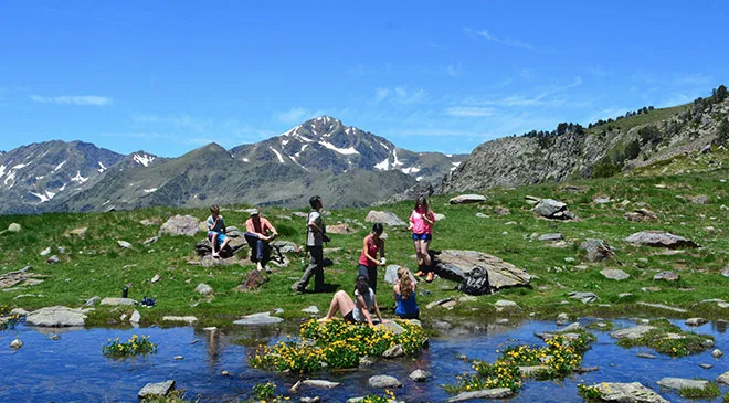 Mountain ecosystems are extremely vulnerable to a changing climate. Earthwatch’s Wildlife in the Changing Andorran Pyrenees seeks to study and protect this delicate alpine environment from the effects of climate change.
