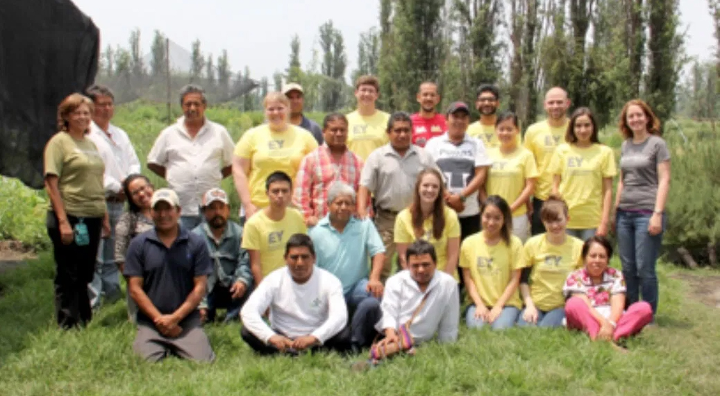 The EY team, Earthwatch, REDES employees and farmers gathered for the final time at the REDES experimental chinampa in Xochimilco.