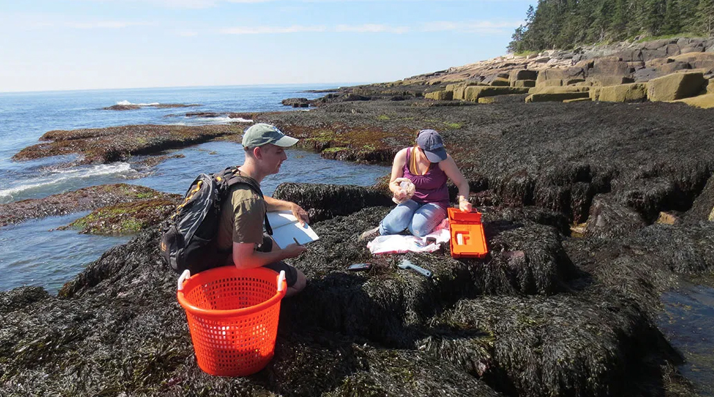 I learned then that we hit on something powerful: It’s important to get the students to a radically different environment from their home and their schools – just like this year, we have students from L.A. spending two weeks on the seashore in Maine. 