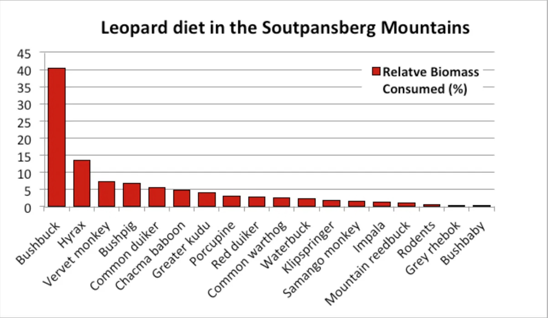 Leopard diets based on scat collected within the Soutpansberg Mountain, South Africa