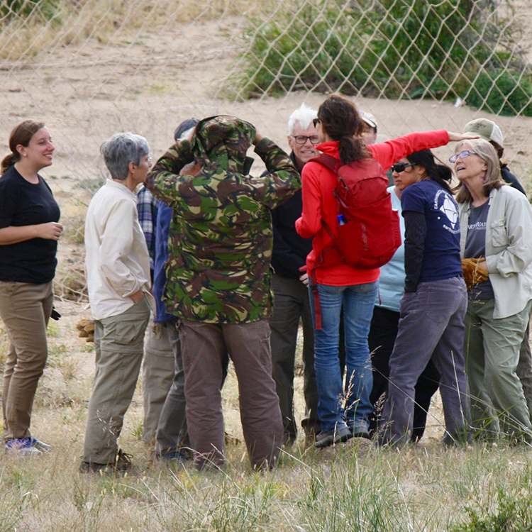 Amanda with her team on the expedition Wildlife of the Mongolian Steppe.