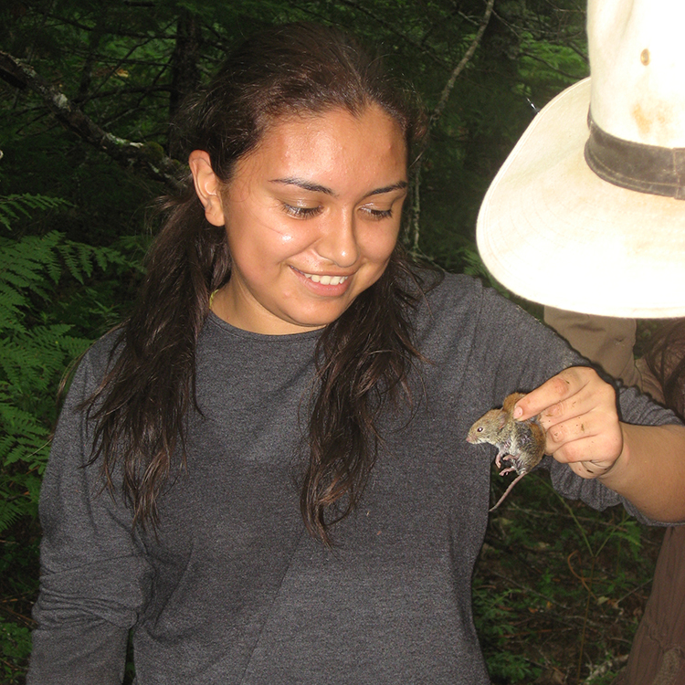 Andrea holds a rodent that will be measured. | Earthwatch