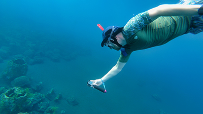 Snorkel (or scuba dive if you’re a member of a scuba team) over artificial and natural reefs to survey biodiversity, take pictures, and collect nutrient samples.