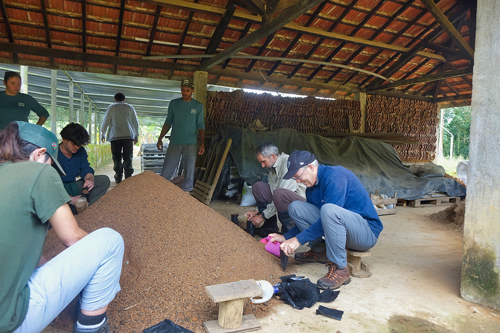 Earthwatch volunteers filling soil bags in the REGUA nursery.