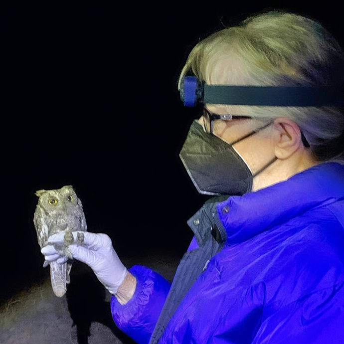 Woman holding an Owl for research purposes
