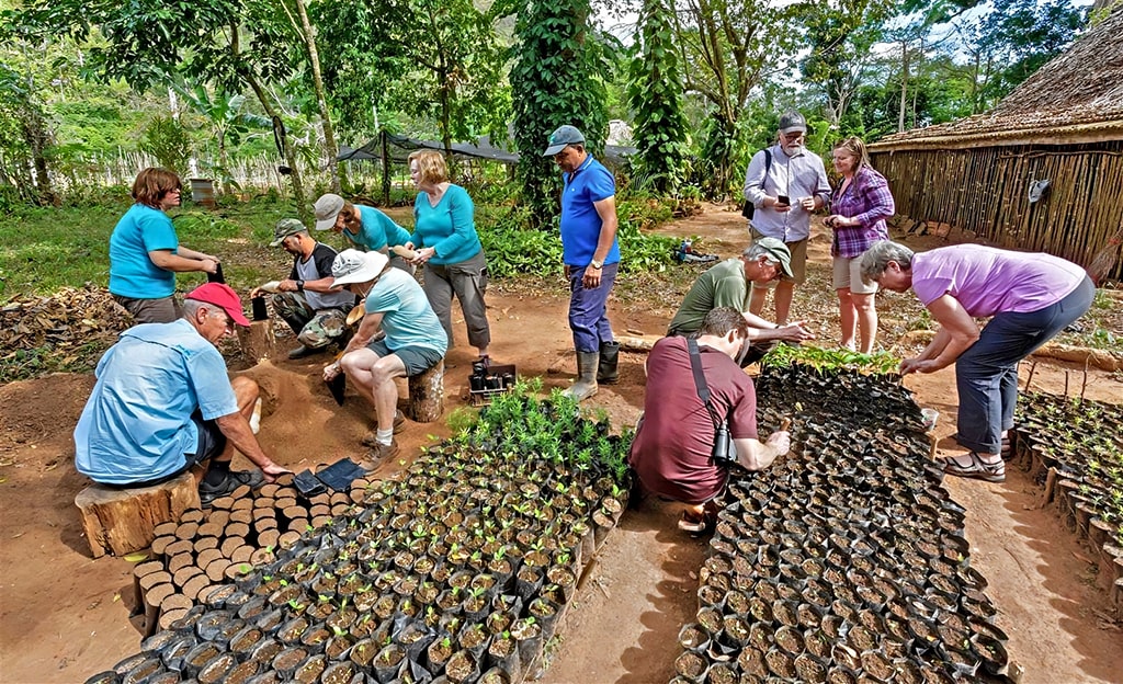A group of people overlooking preparing to plant in Cuba.