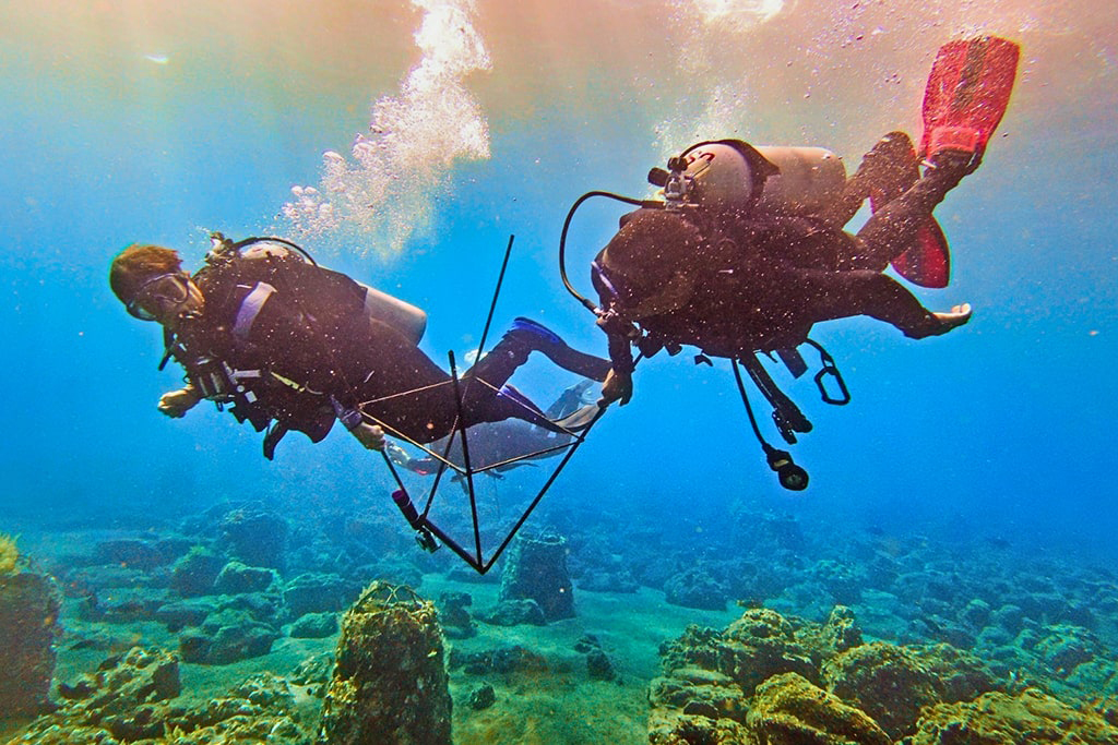 Scuba divers performing research tasks in Bali, Indonesia 