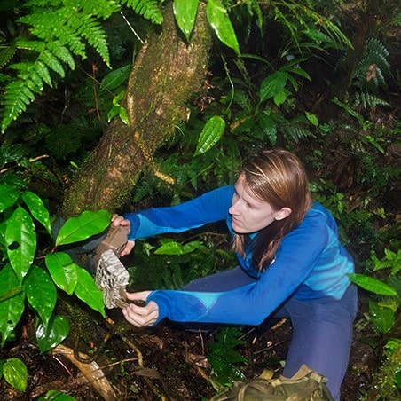 A woman sitting on the the forest floor checking a camera trap attached to a tree.