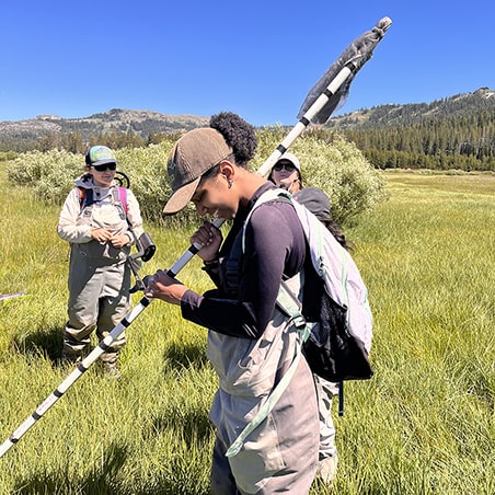 Two Girls in Science fellows conducting vegetation surveys in the Sierra Nevada Meadows.