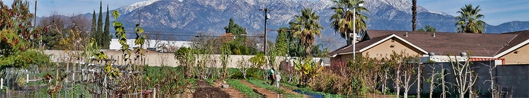  Huerta del Valle community garden