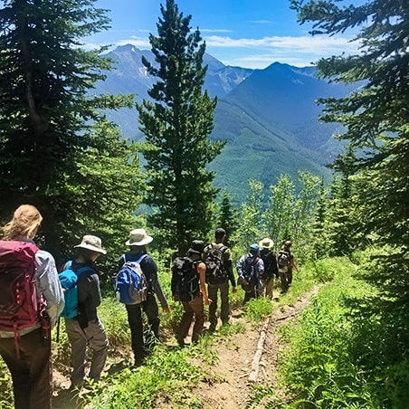 A group of students hiking up a wooded trail towards the mountains.