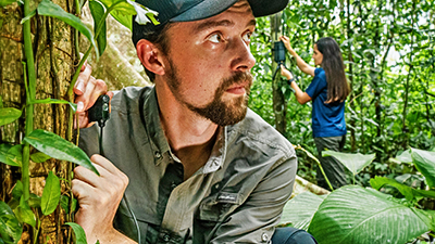 A man and a woman installing cameras on trees in a rainforest to monitor wildlife.