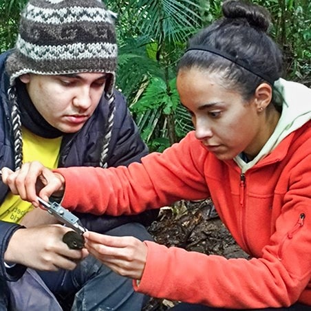 Two people measuring a bird in a rainforest.