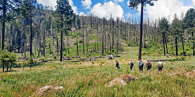A group of people hiking.