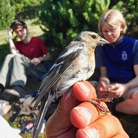A bird in a hand in the foreground of the photo, with two teens in the back looking on.