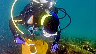 A scuba diver removing algae off coral