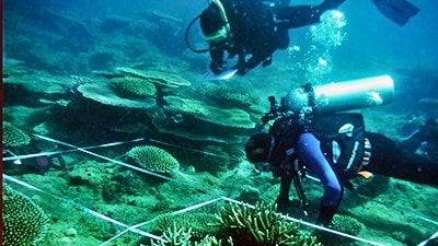 Scuba divers taking measurements of the photobiology of the corals
