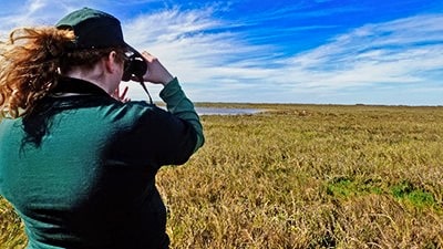 An Earthwatch volunteer uses binoculars to scan the marsh for whooping cranes (Grus Americana)