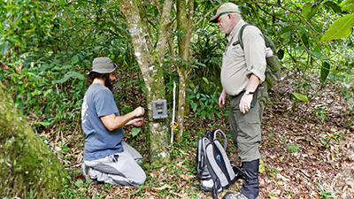 A participant helps Earthwatch lead scientist, Dr. Muanis install a camera trap on a tree (C) Mary Rowe