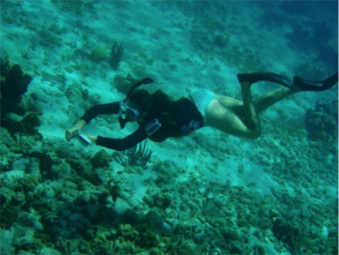 A 2012 Earthwatch Teen Team volunteer surveys a patch reef in The Bahamas. © Earthwatch