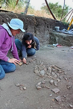 Archaeology in Portuguese Vineyard